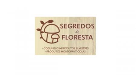 Segredos da Floresta